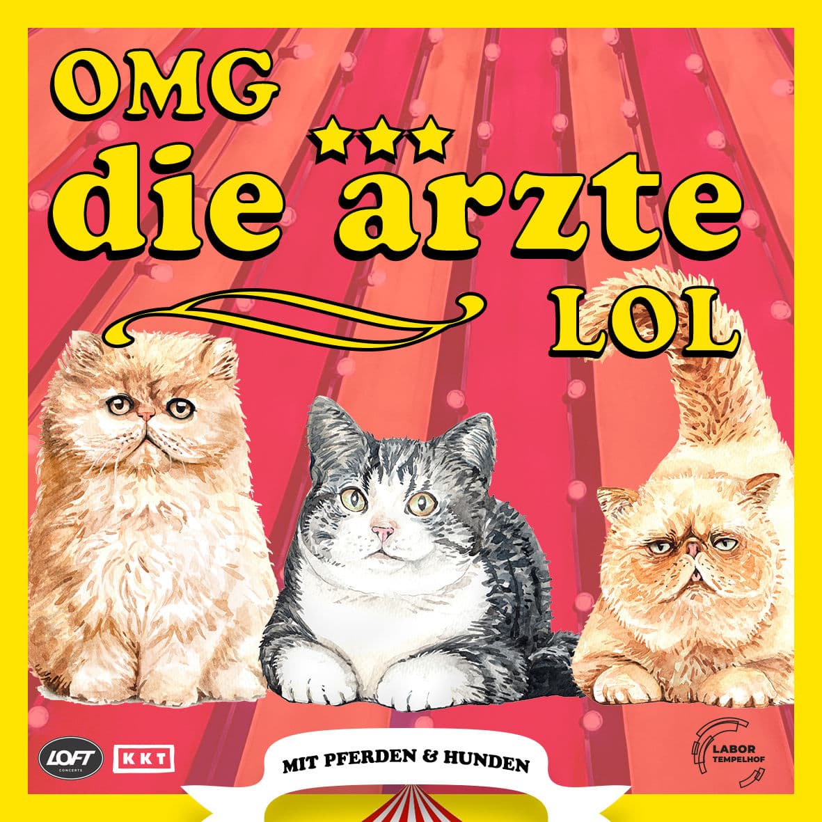 „OMG die ärzte LOL“ Tempelhof 2024