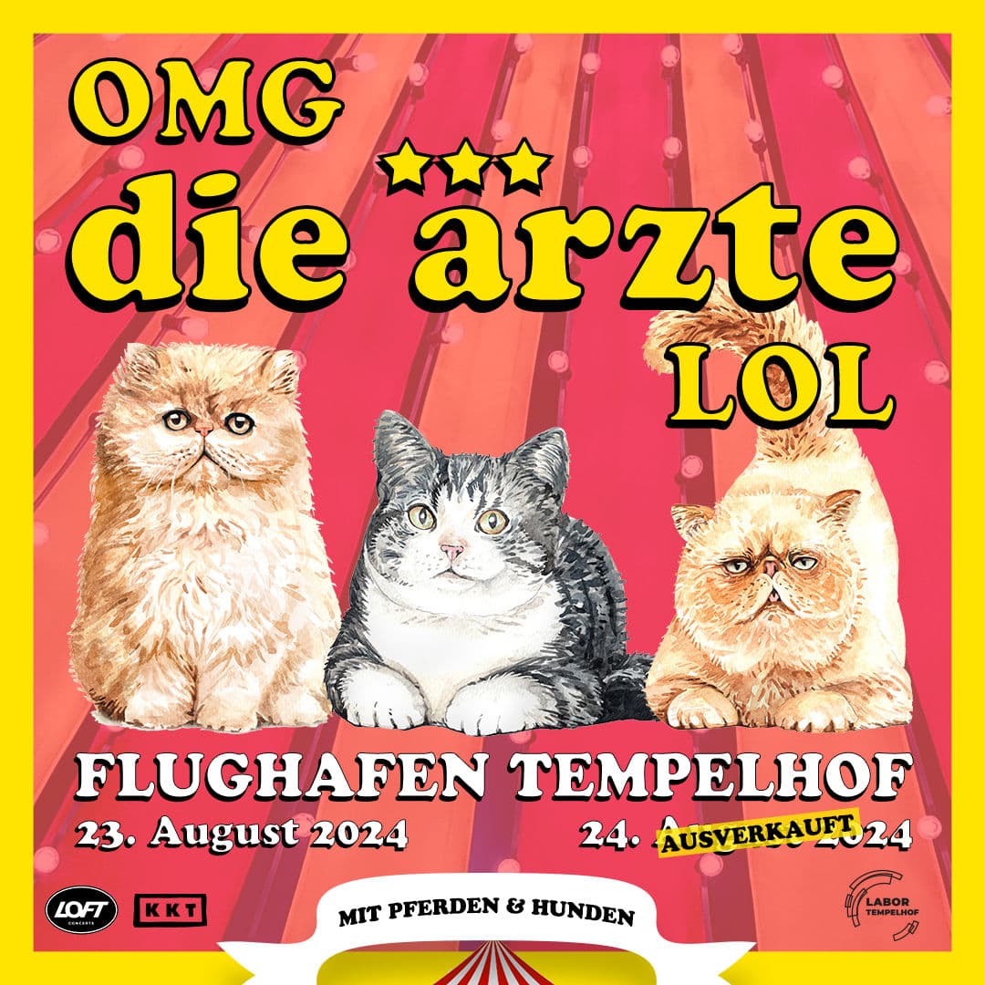 „OMG die ärzte LOL“ Tempelhof 2024