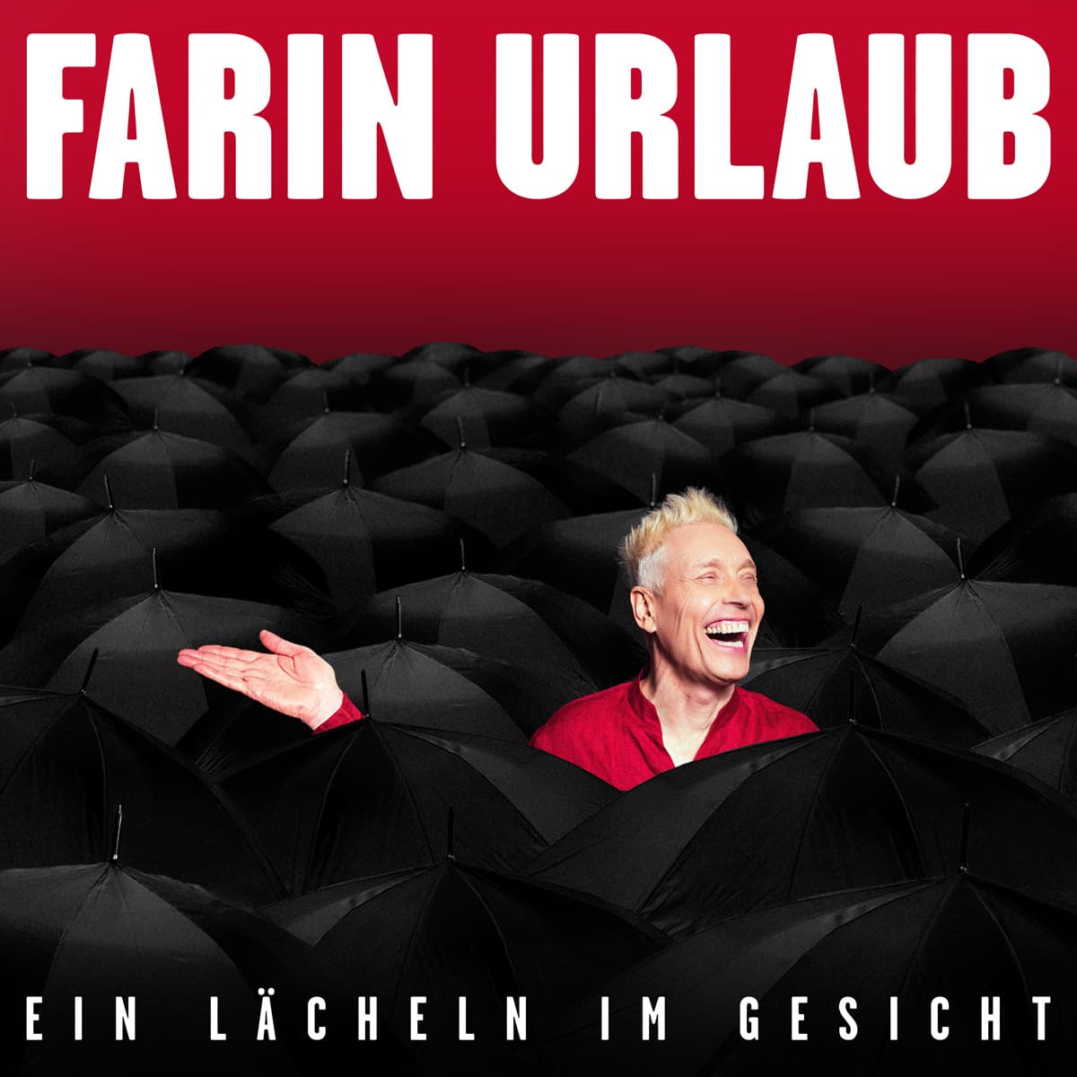 Farin Urlaub: Ein Lächeln im Gesicht (Album)